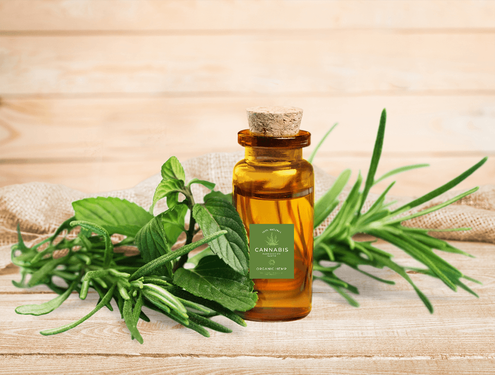 paranorma.primeabiz.com