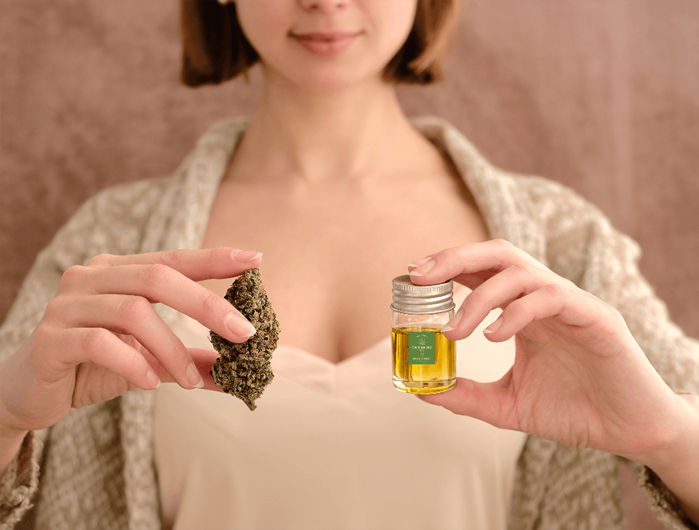 paranorma.primeabiz.com